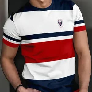 t-shirt-a-imprime-graphique-aigle-a-blocs-de-couleurs-pour-hommes