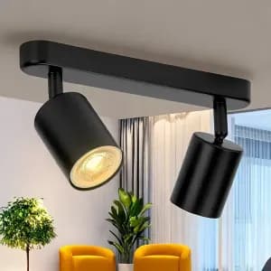 plafonnier-noir-dinspiration-vintage-avec-deux-ampoules-rotatives-mont