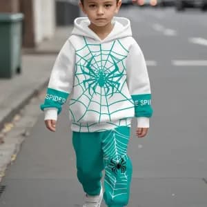 ensemblesweatacapucheetpantalonaimprimearaigneepourgarcon